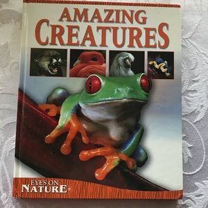 Amazing Creatures Eyes On Nature